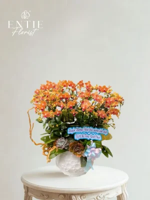 Chậu Hoa Lan Mini Cam Vàng 20 cành
