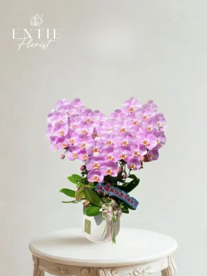 Chậu Hoa Lan Hồng Chanel – BST “Yêu Thương” 05